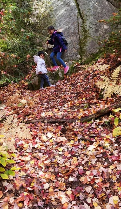 Beaver Pond Trail-阿冈昆公园必去景点