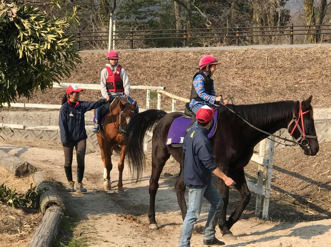 Daisen-Oki National Park-中国地方必去景点