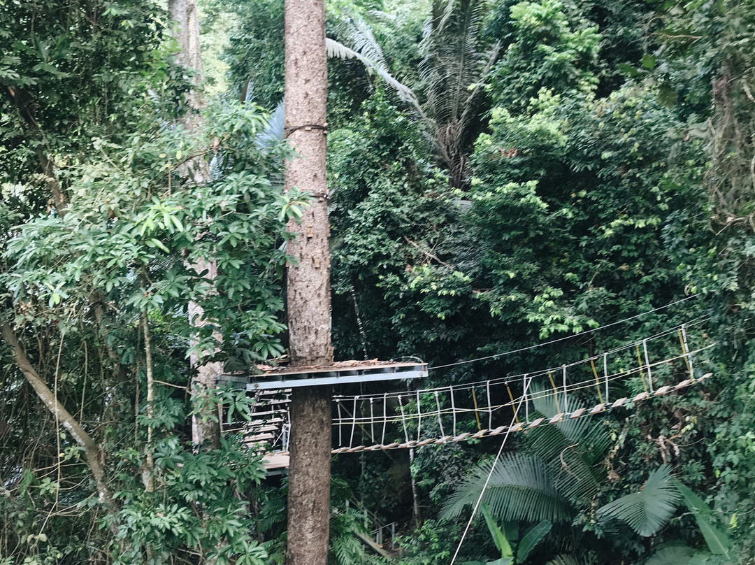 Skyhawk Adventure-红统必去景点