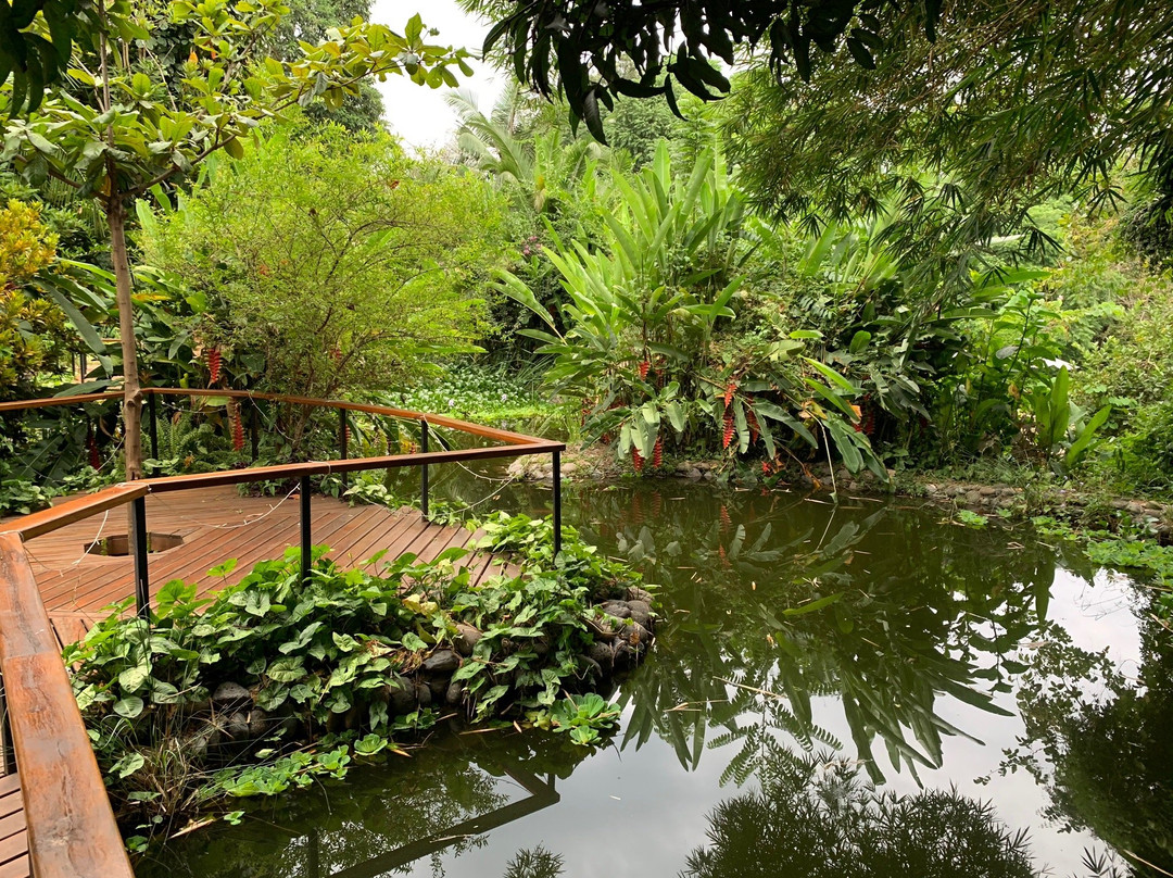 Uswaa旅游攻略图片