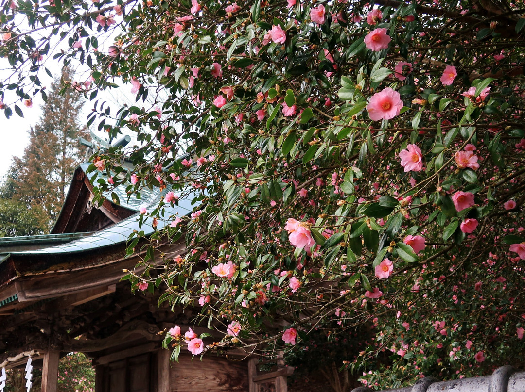 Wake Shrine景点图片