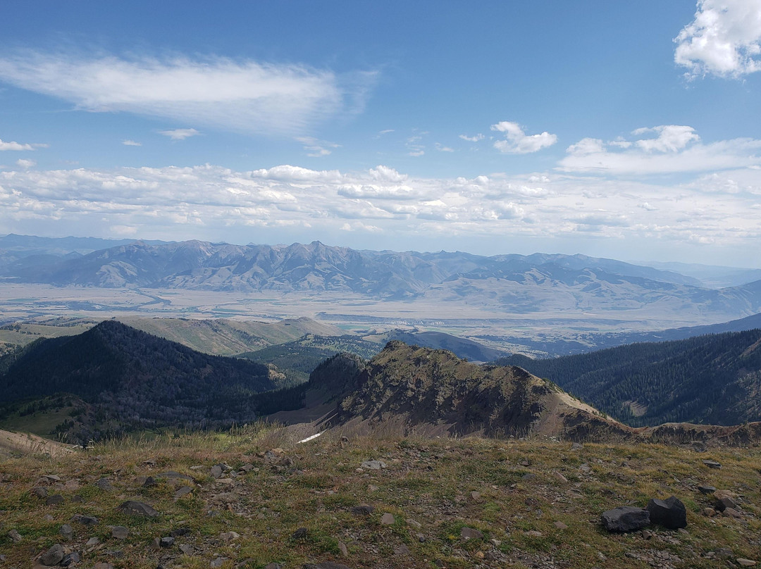 Roam Yellowstone Guiding