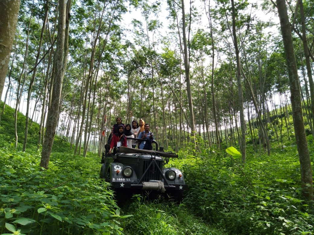 Karanganjar Coffee Plantation-勿里达必去景点