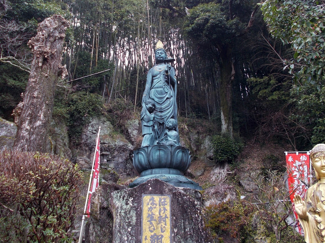 Kofukuji No Bokefuji Nagaiki Kannon Bosatsu-菊池市必去景点