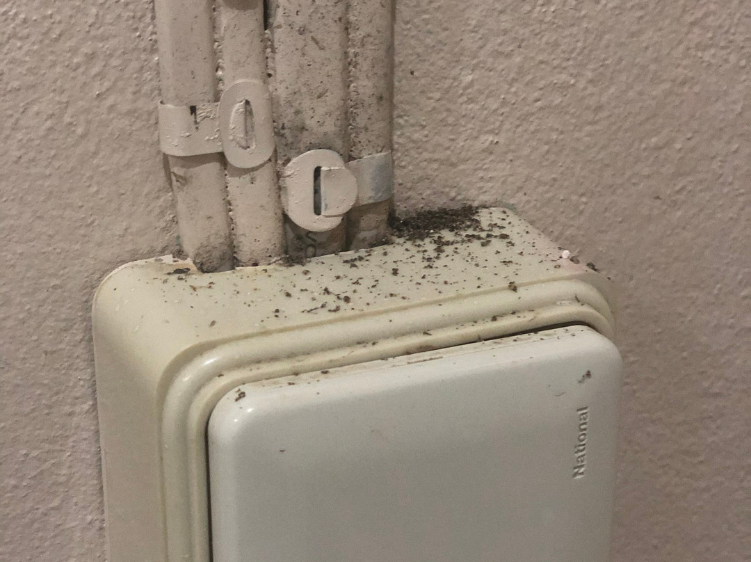 Jungle View Resort主图