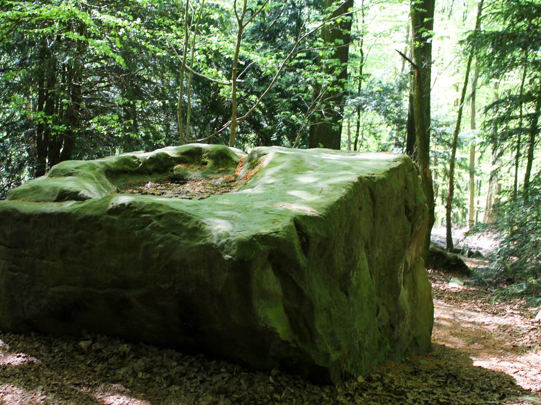 Deister Süntel MTB Verleih-Hulsede必去景点