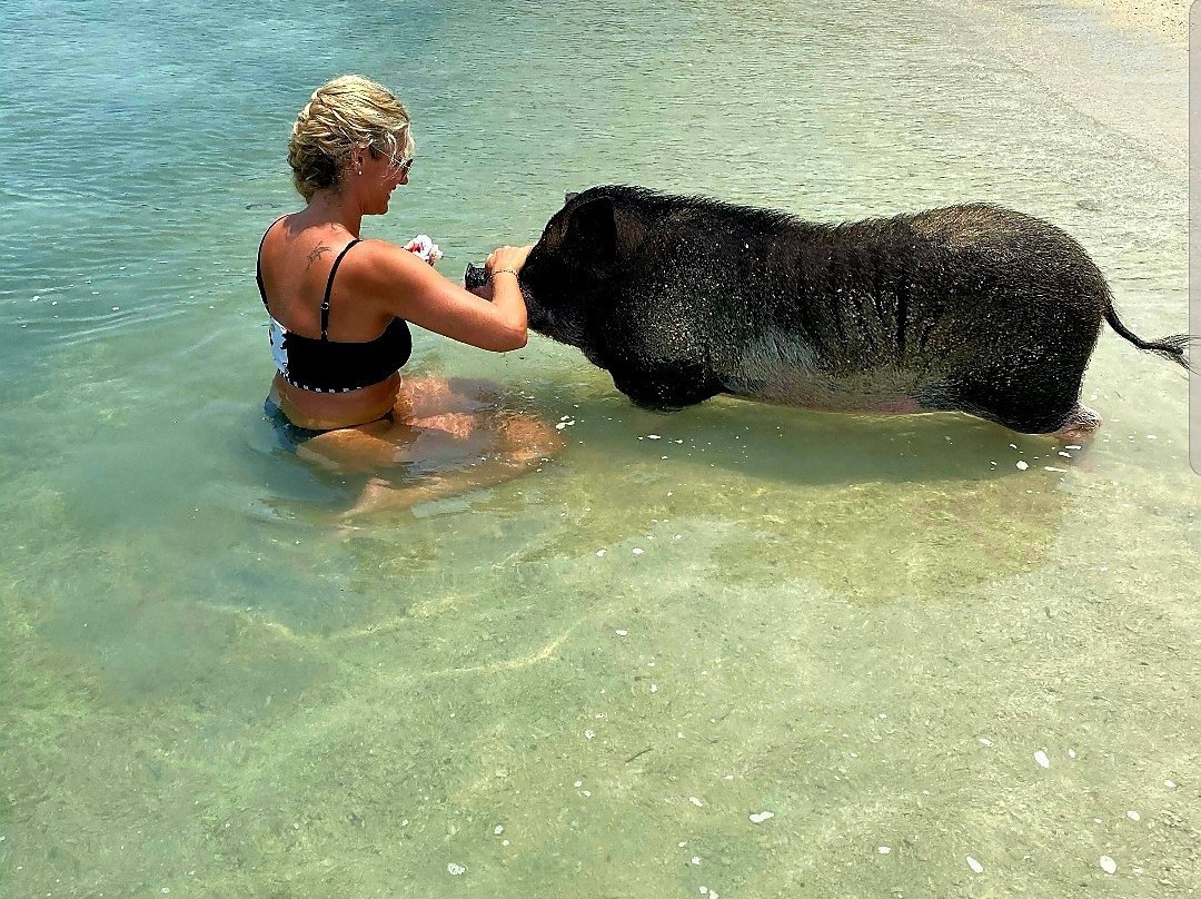 Tour Explore-马叻必去景点