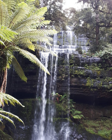 Mt Field National Park Campground主图