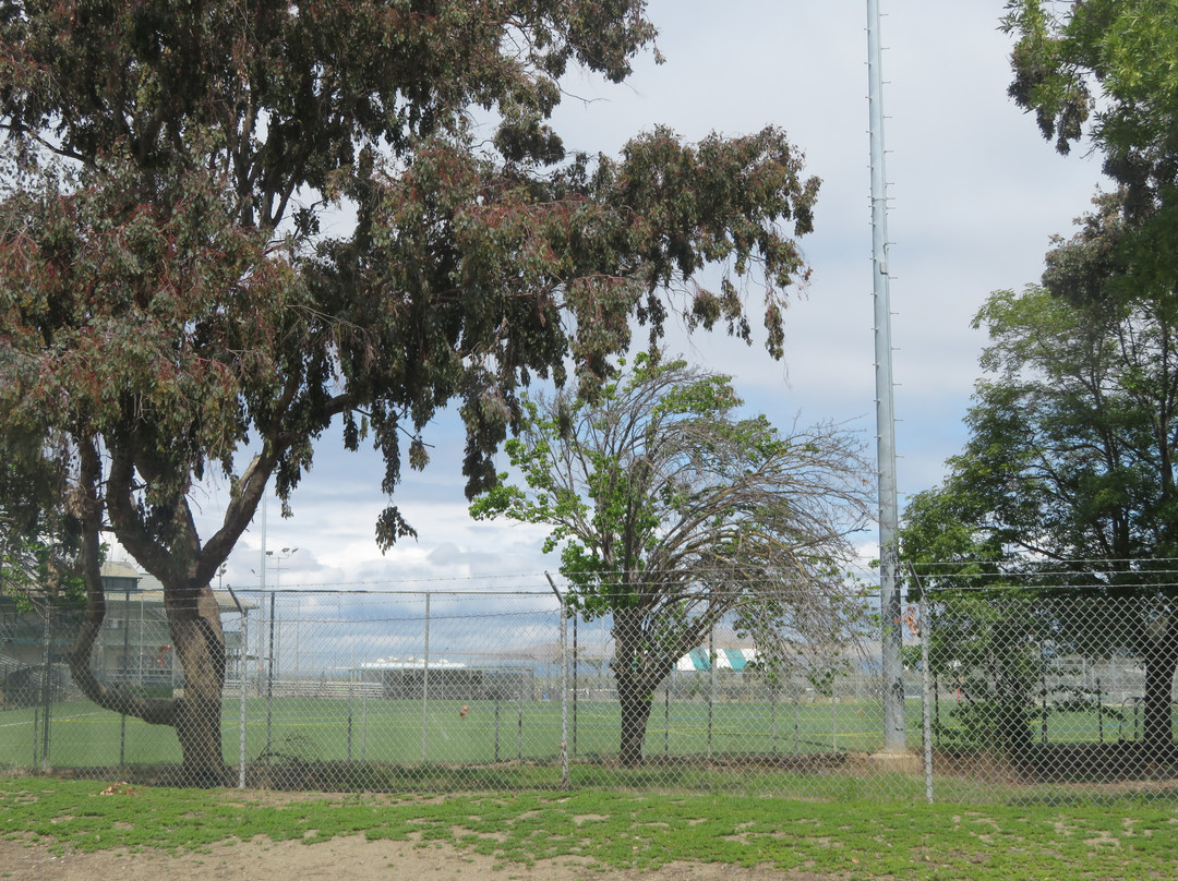 Twin Creeks Sports Complex-森尼韦尔必去景点