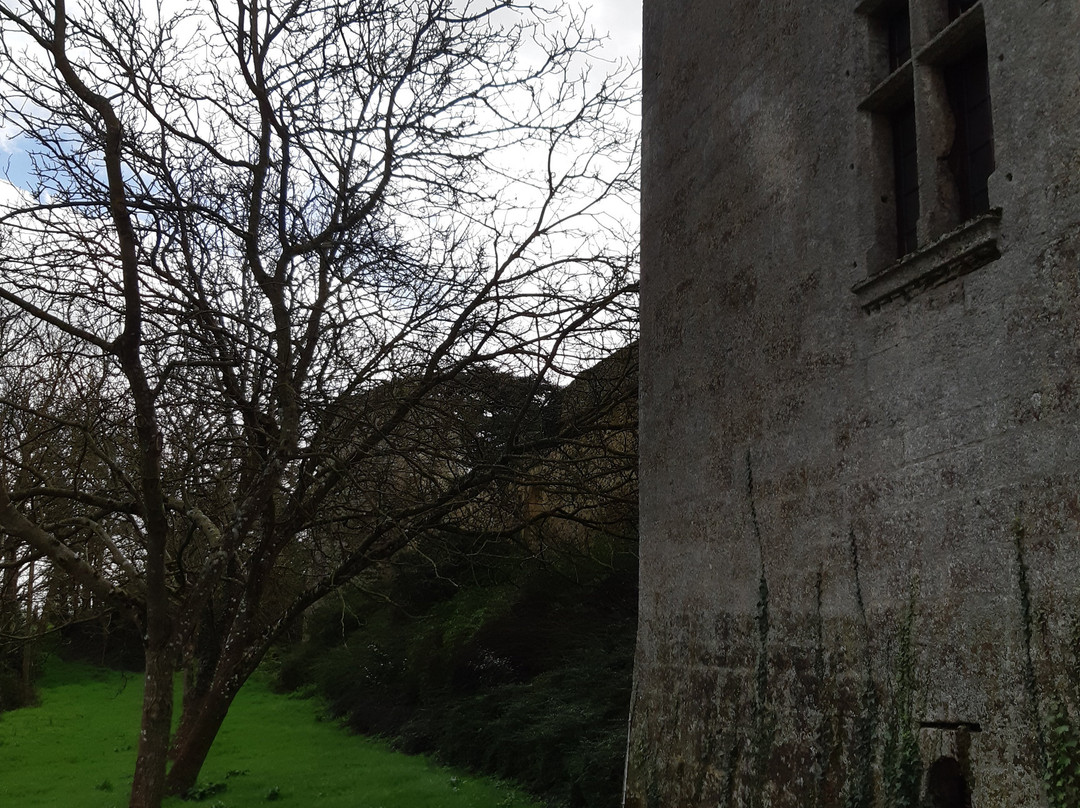 Chateau d'Aubigne-Aubigne-sur-Layon必去景点