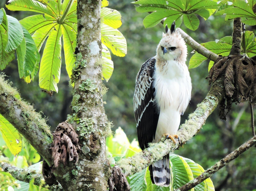 Wild Watch Peru-Manu必去景点