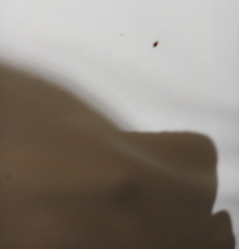 Strato Hotel by Warwick主图