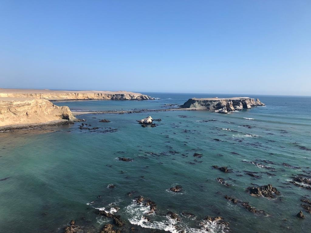 Reserva Nacional San Fernando-纳斯卡必去景点