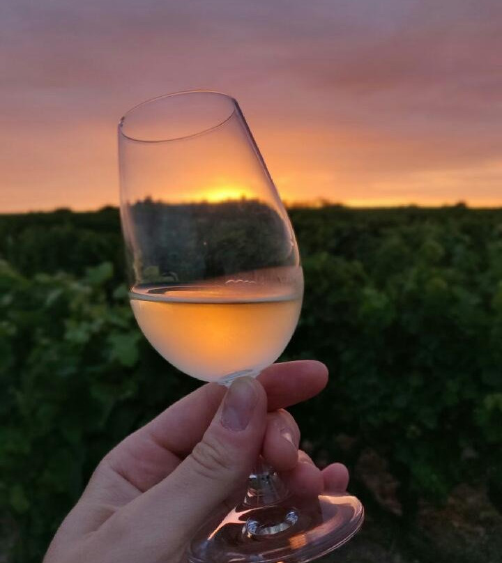Rendez-Vous dans les Vignes-Chancay必去景点