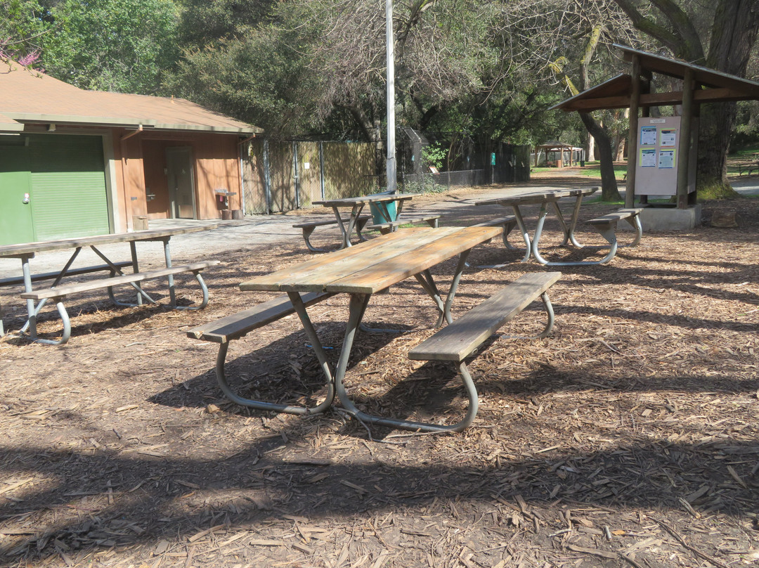 Sulphur Creek Nature Center景点图片