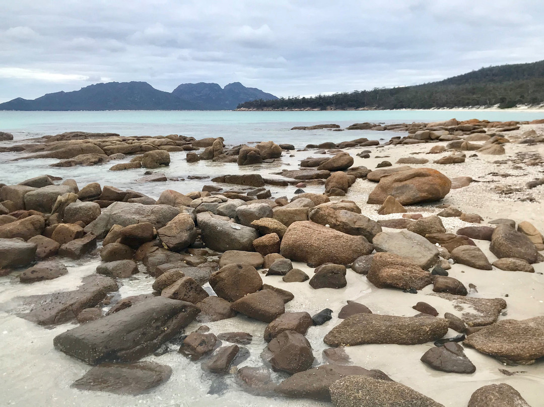 Freycinet Aqua Taxi景点图片