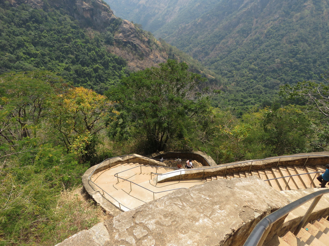 Agaya Gangai Waterfalls景点图片