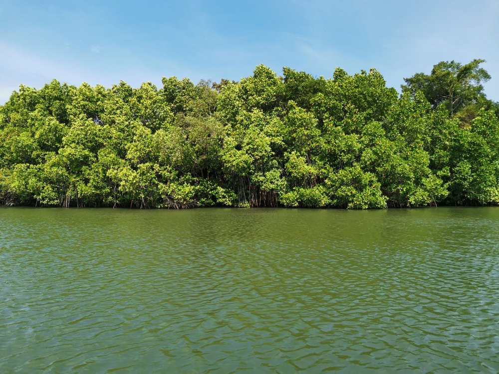 Koggala Lake景点图片