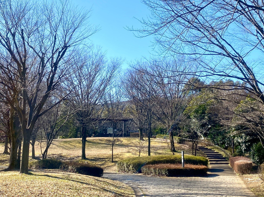 Oyato Park景点图片