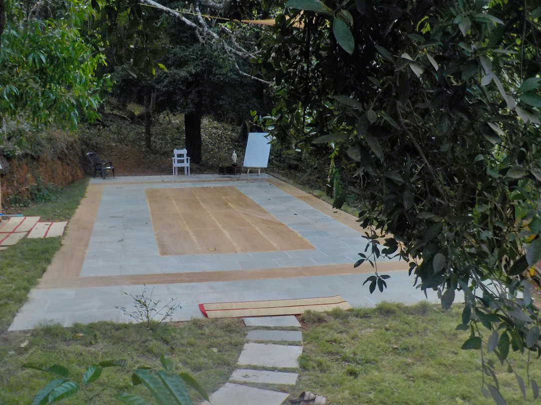 Yin Yoga Therapy Training-Morjim必去景点