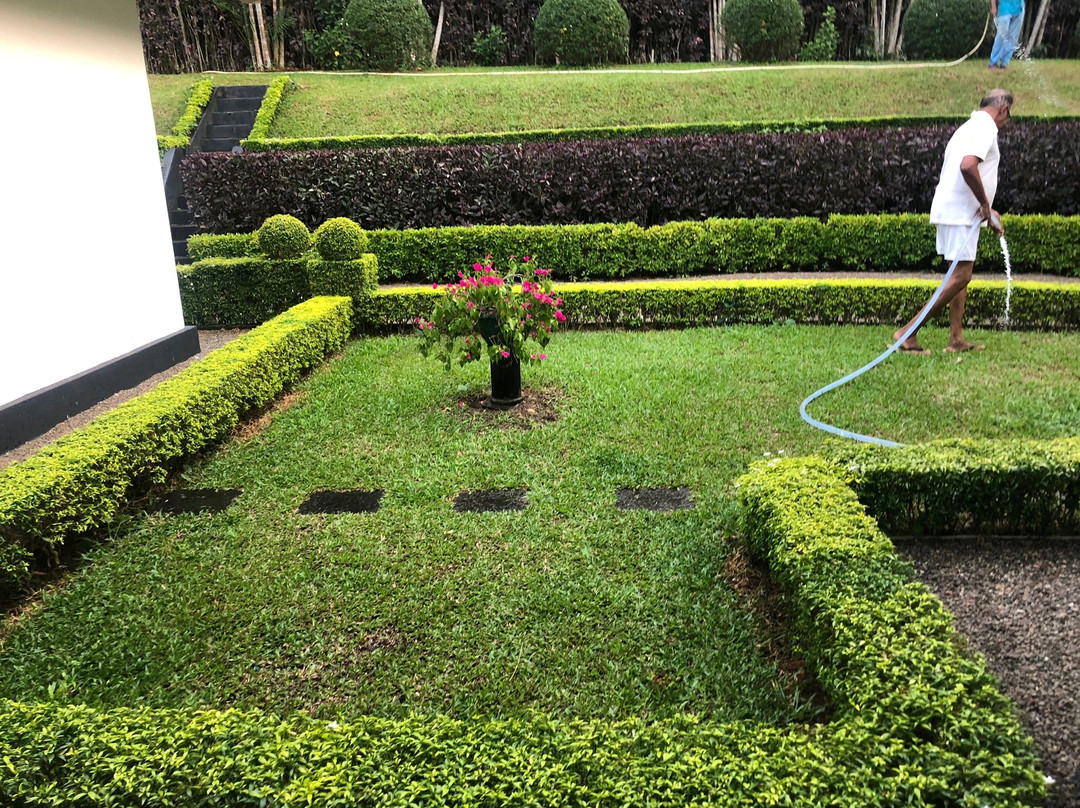 Camellia Dwelling主图