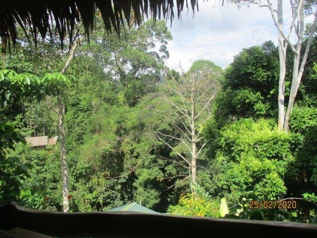 On the Rocks Bungalow & Restaurant主图