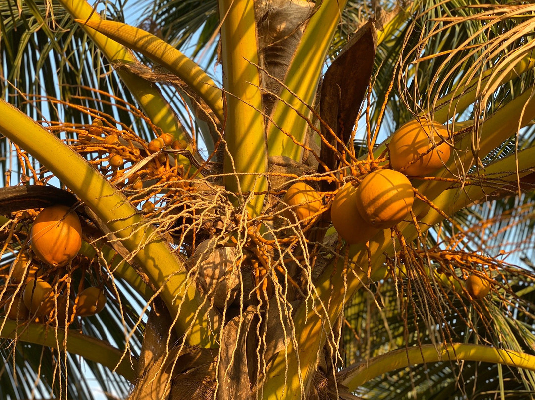 Villa Ocean View Hotel主图