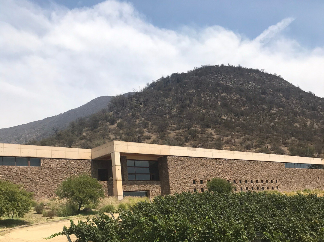 Vina San Pedro-Requinoa必去景点