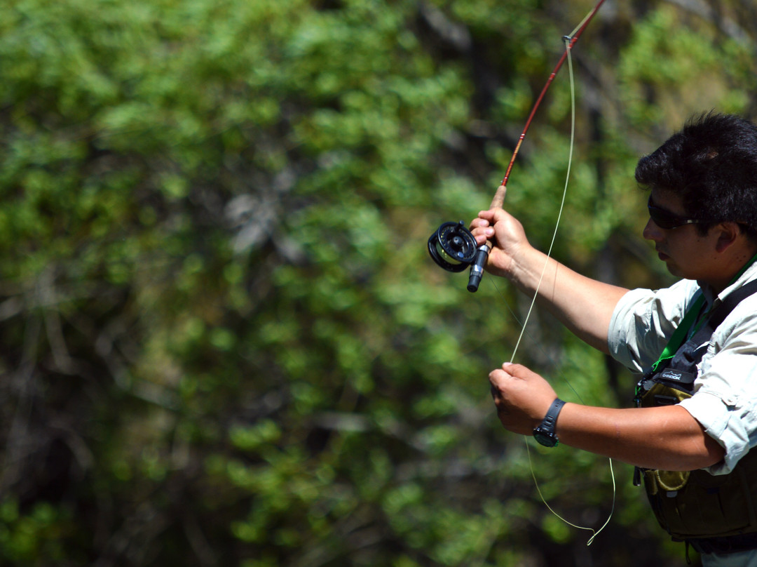 Carpintero Negro Aventuras-Futaleufu必去景点