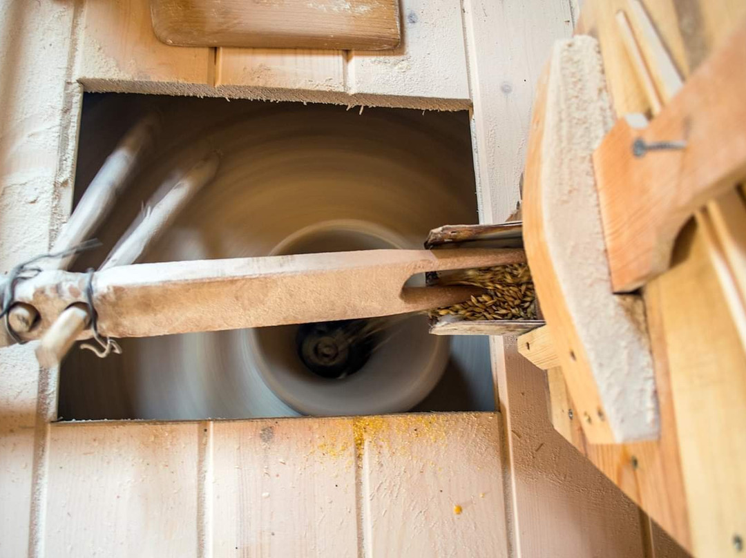 Etno Vodenica Ćirović-Odzak必去景点