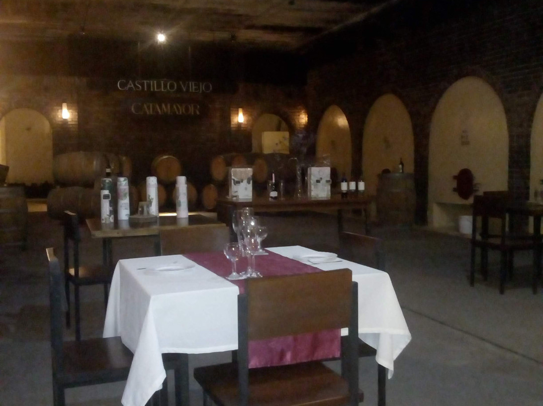 Bodegas Castillo Viejo-Las Piedras必去景点