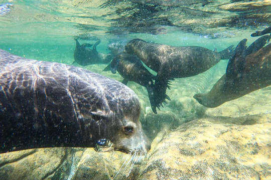 Baja Sur Tours-拉巴斯必去景点
