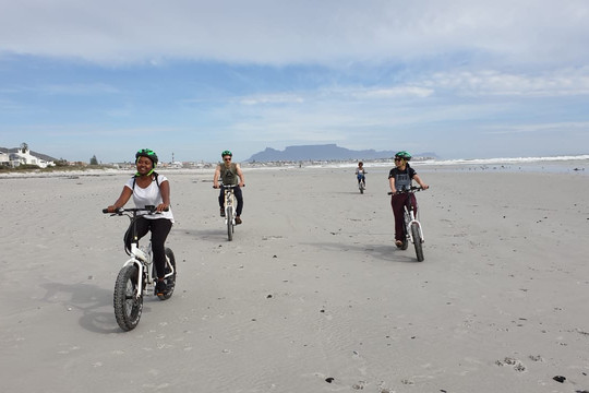 E-lectric Ventures-开普敦必去景点