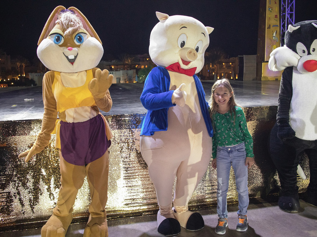 利克斯奥沙姆沙伊赫全包酒店主图