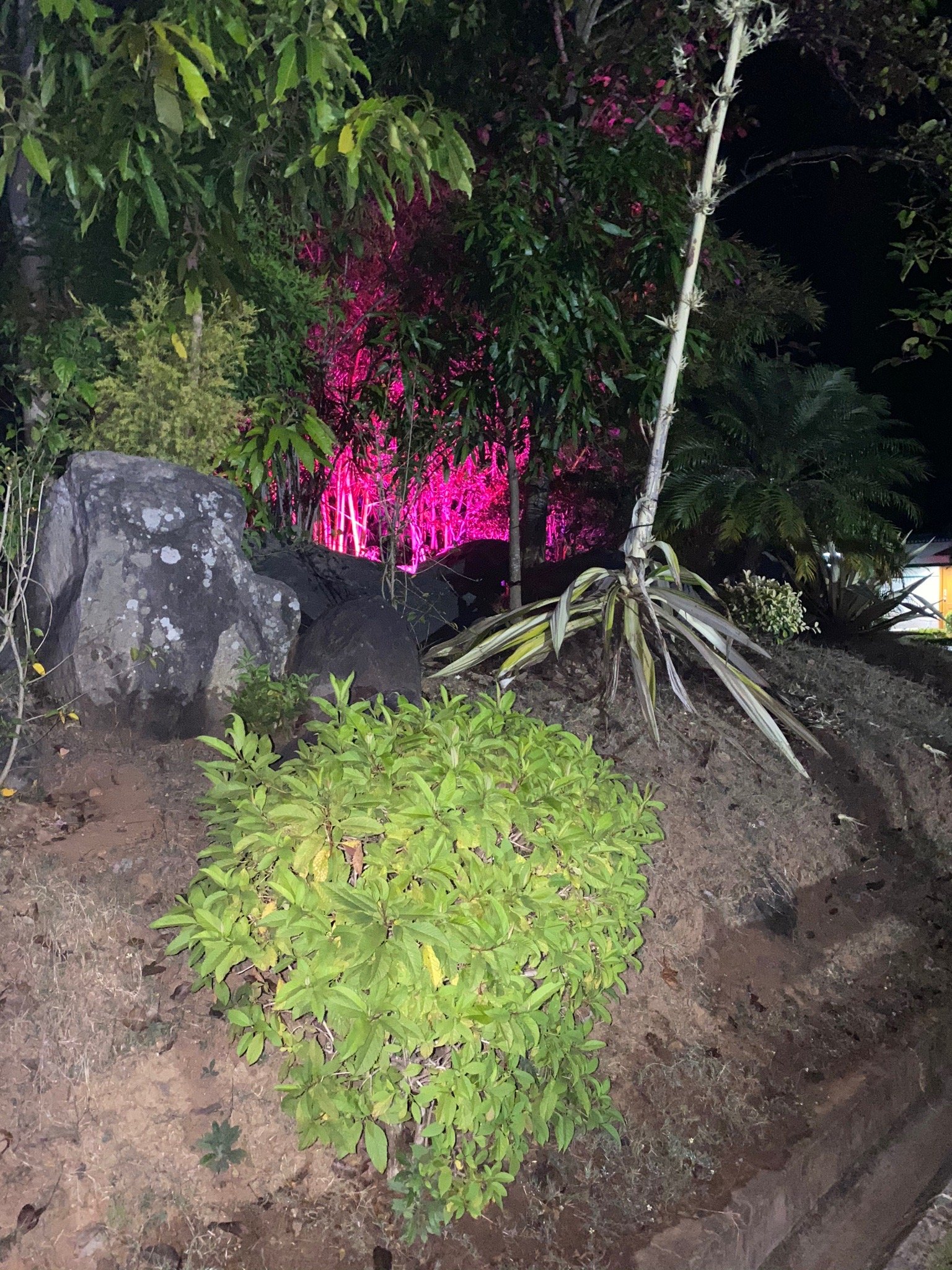 Haritha Hill Resort-官方