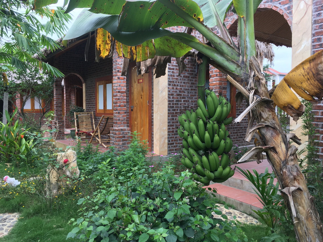 Ninh Binh Palm Homestay主图