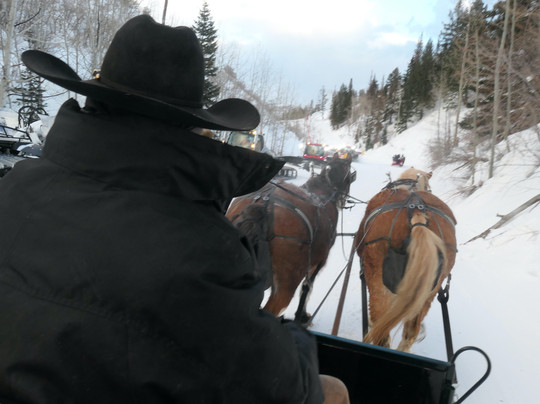 Park City Sleigh Rides-帕克城必去景点