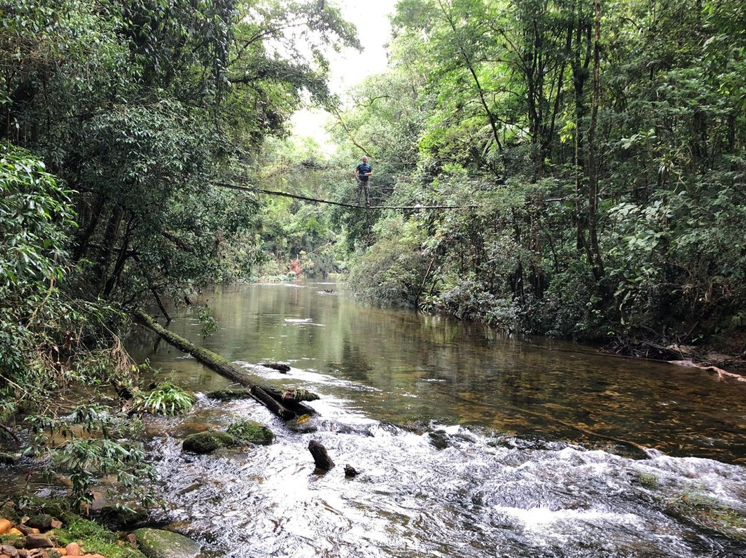Parque das Neblinas景点图片
