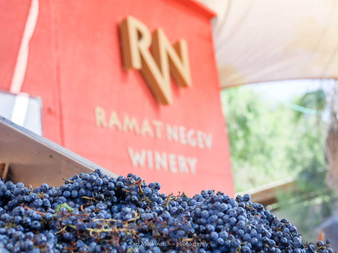 Ramat Negev Winery-Kadesh Barnea必去景点