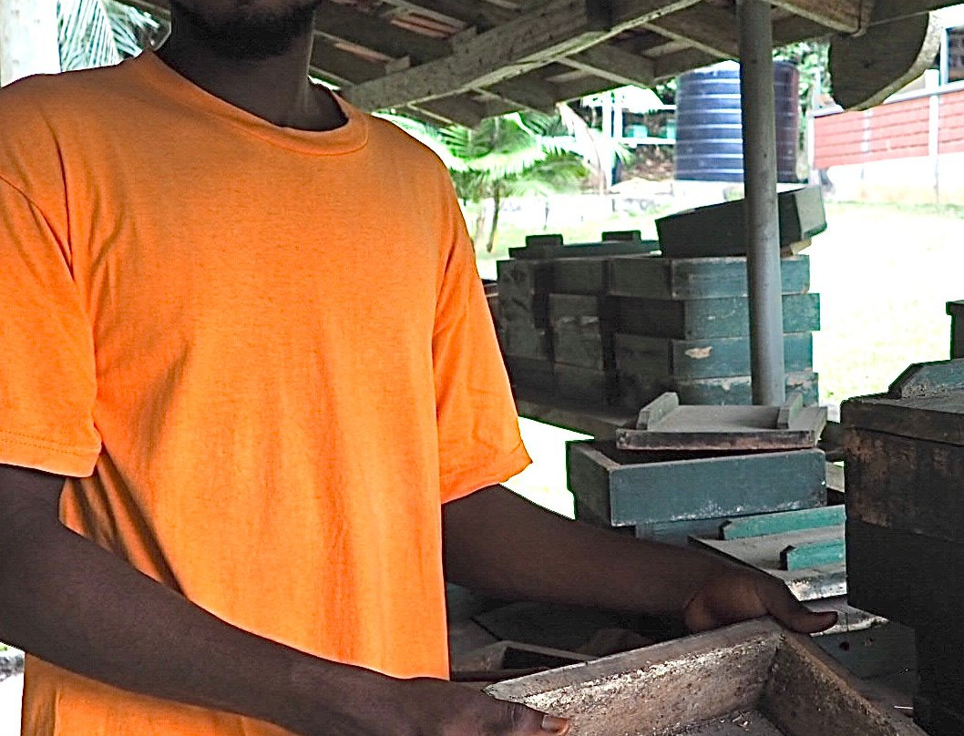 International Stingless Bee Centre-Cape Coast必去景点