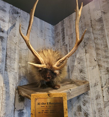 The Cabin-帕克城必去景点