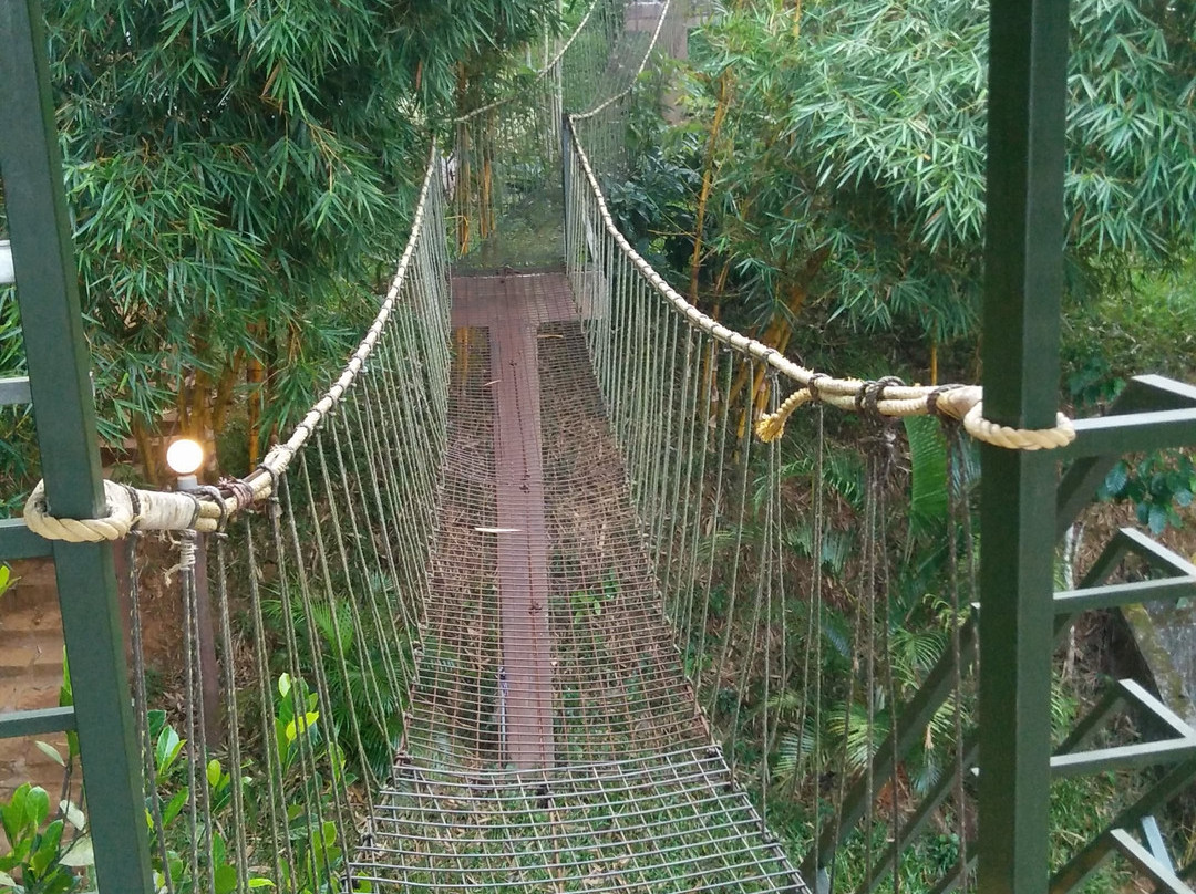 Wayanad Ranches Resorts主图