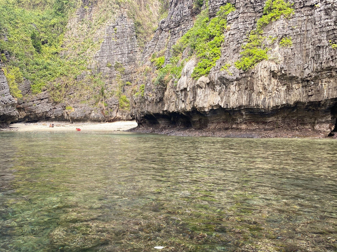 Pura Vida Diving-大皮皮岛必去景点