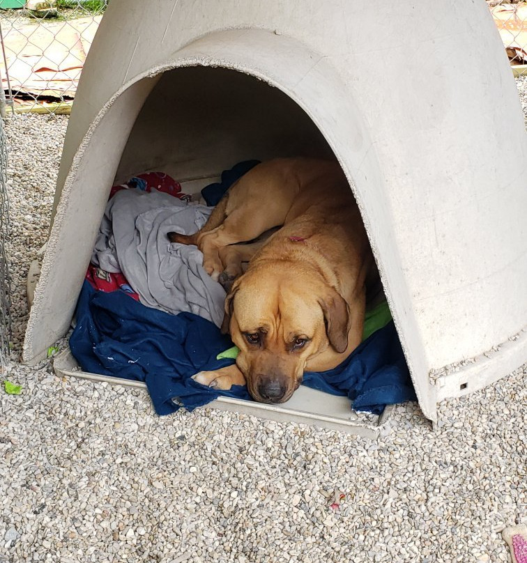Villalobos Rescue Center景点图片