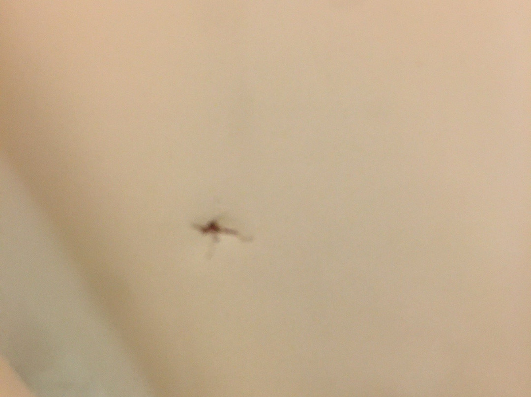 Days Inn & Suites by Wyndham New Iberia主图