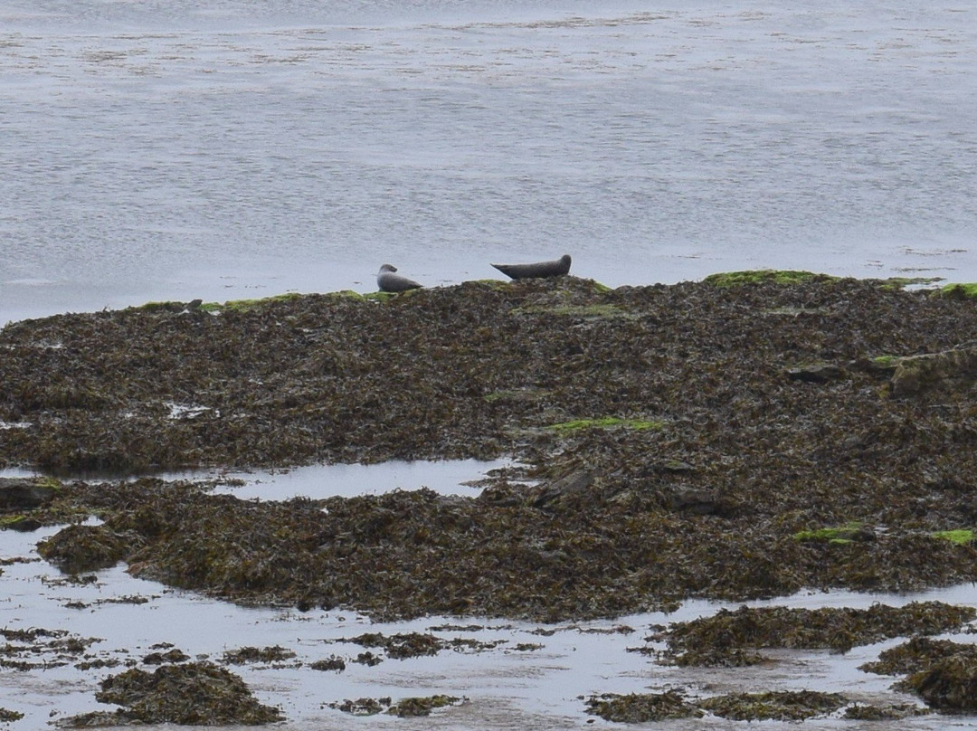 Kilmurvey Beach-Inishmore必去景点