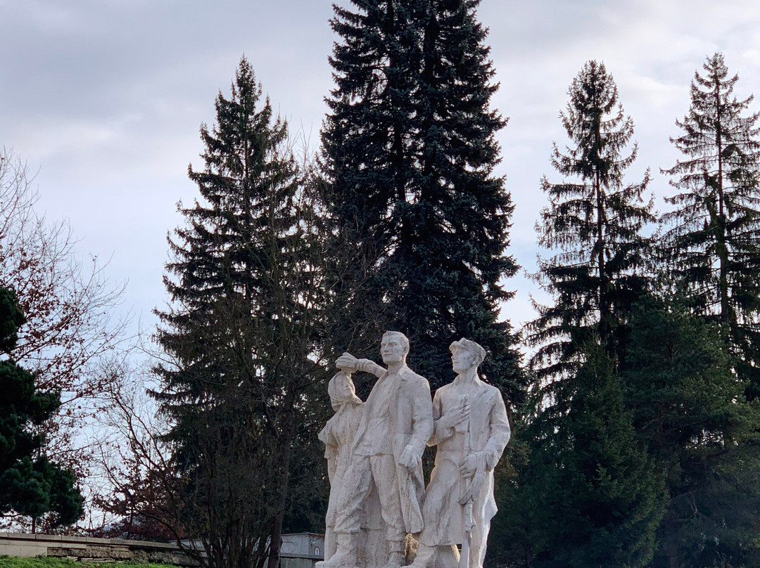 Military and historical Museum of Svidnik景点图片