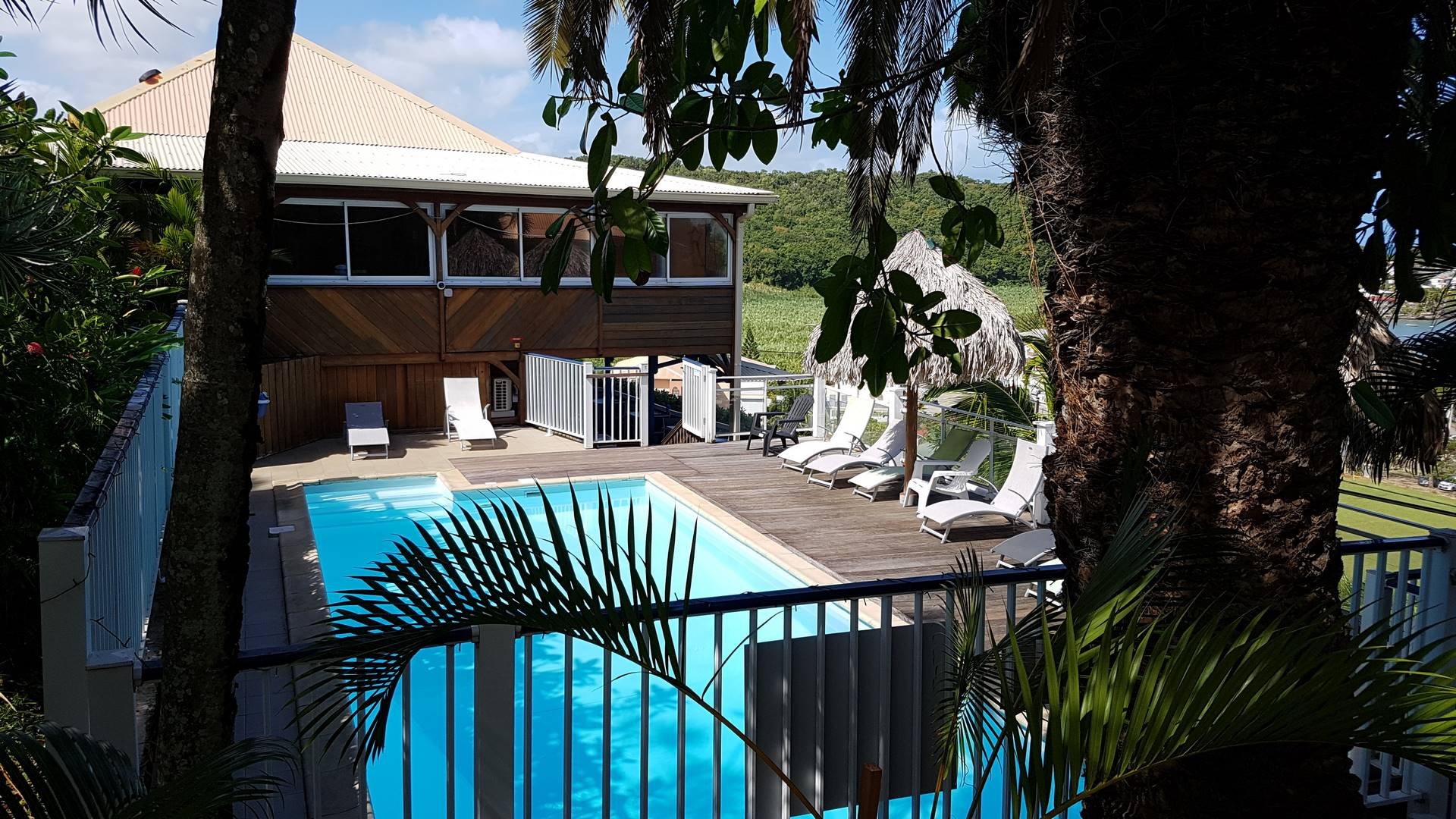 Hotel Le Manguier-泳池