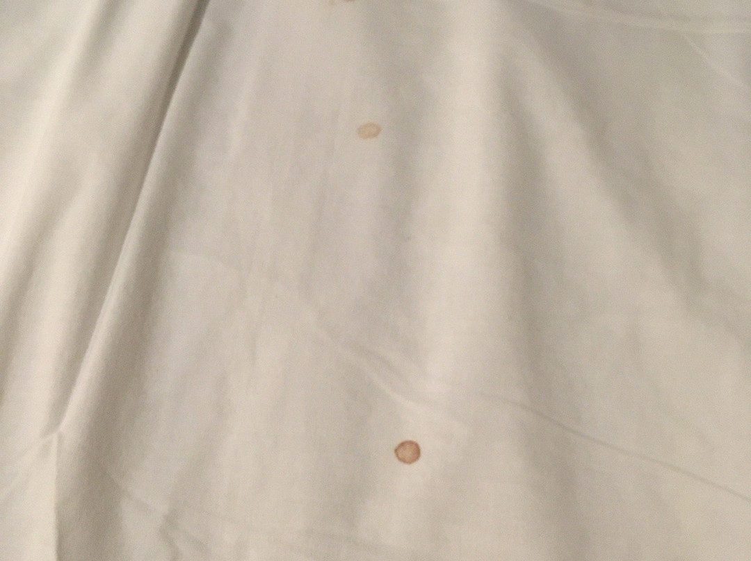 Posada del Virrey主图