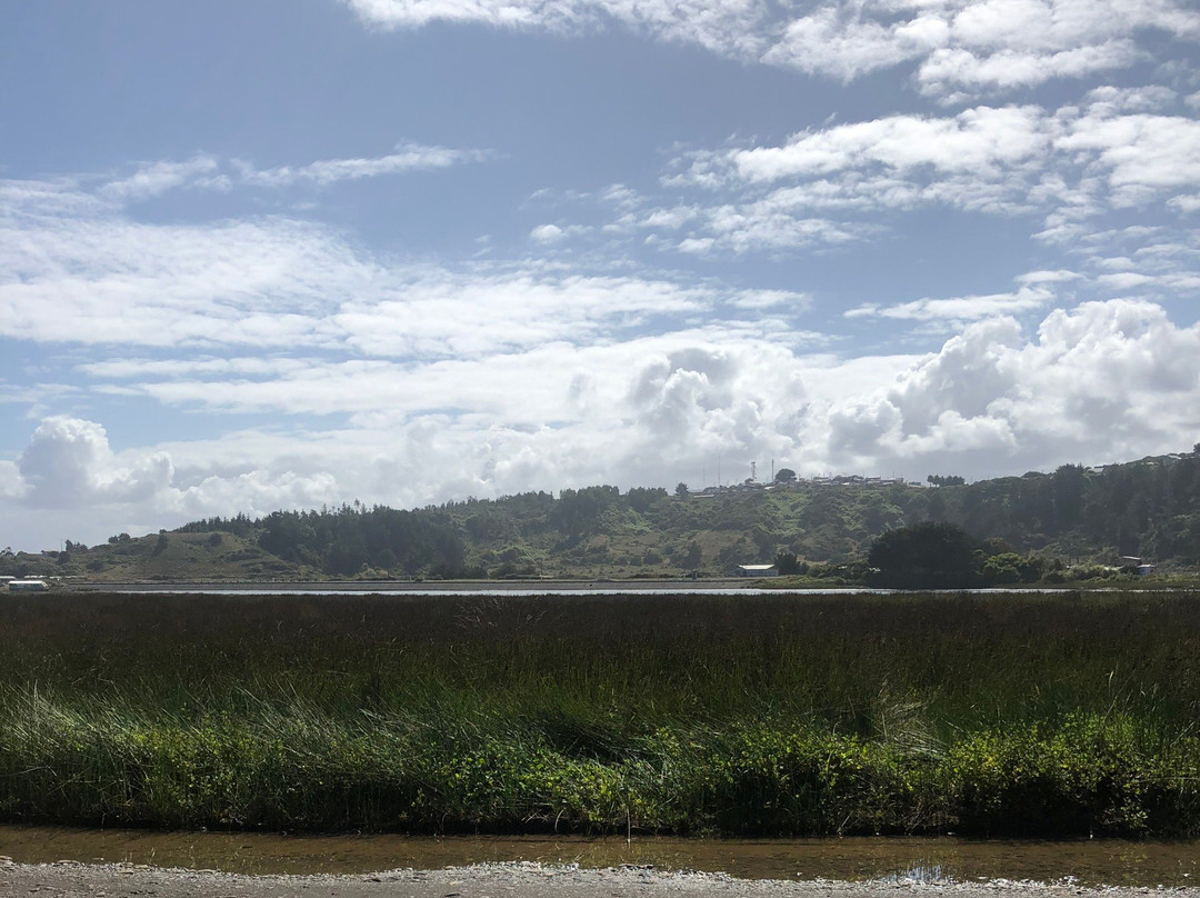 Uñum Kimün-Puerto Saavedra必去景点